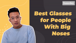 glasses for big nose